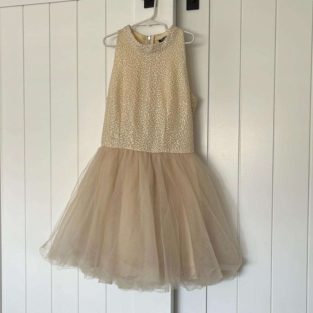 Worn twice. Beaded look top that zips up the back with tulle bottom.